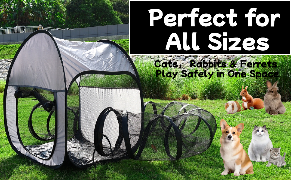 outdoor cat playpen