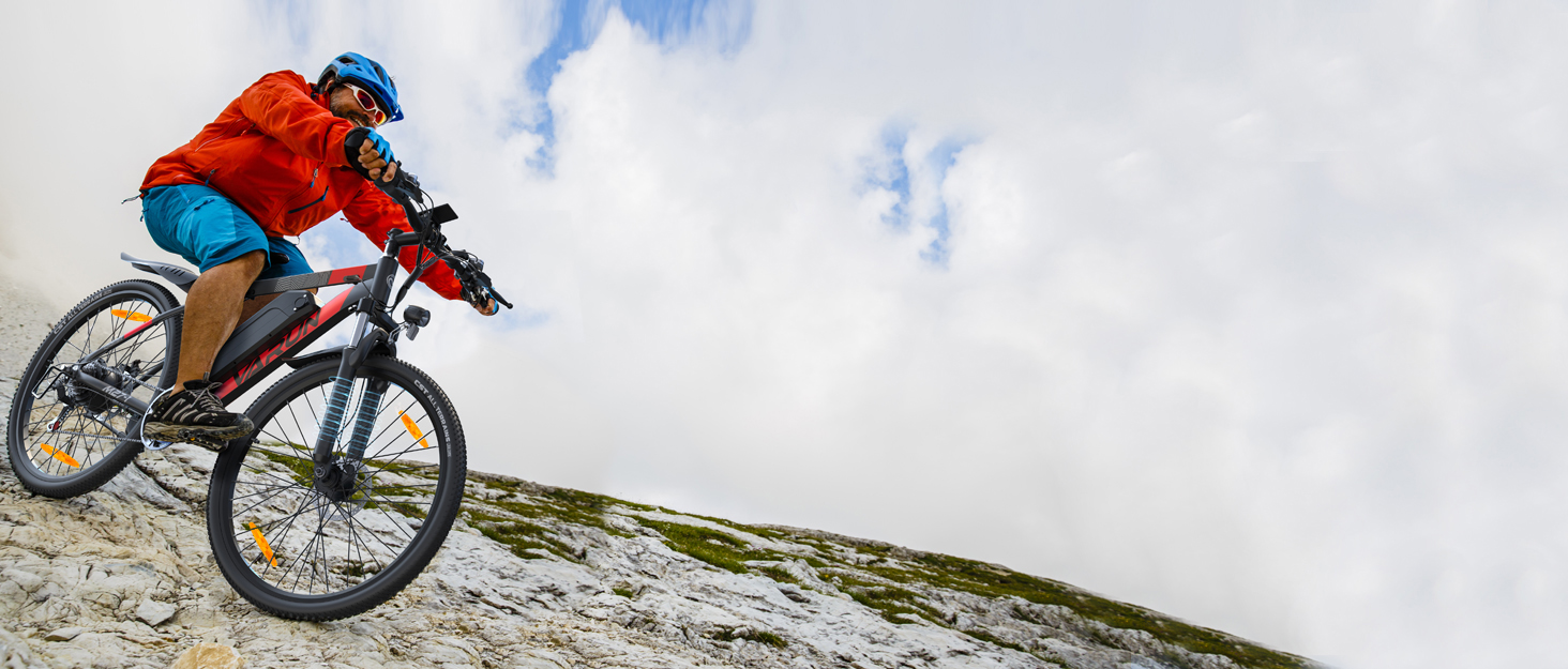 ebike