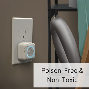 Small manufacture image 2