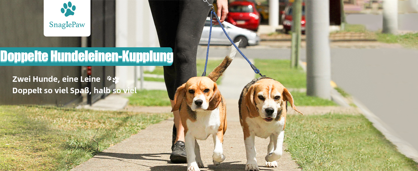 Doppelte Leine für 2 Hunde