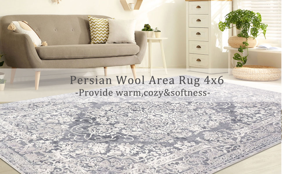 famibay 4x6 Area Rug Boho Vintage Area Rugs Washable Soft Bedroom Rug