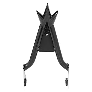 Amazon.com: Sissy Bar for Harley Touring, Detachable