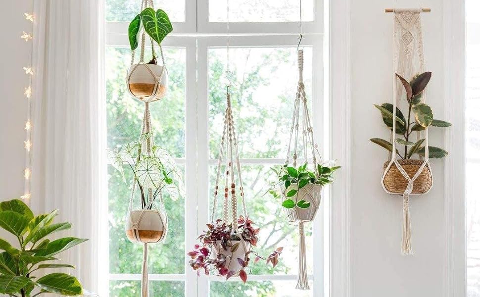 Plant Hanger