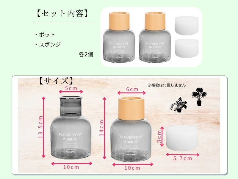 Amazon.co.jp: 3world ハイドロカルチャー 水耕栽培 観葉植物