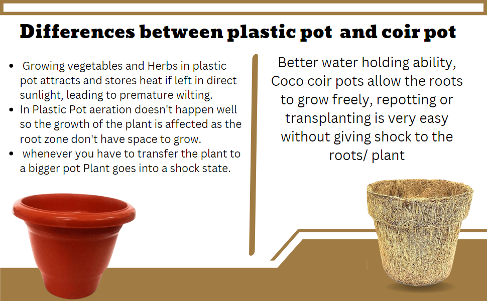 SPN-BFCC Salad Gardening Kit