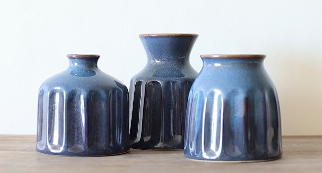 Carrot&#39;s Den Blue Vases