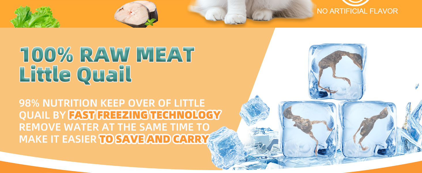 freeze dried cats treats