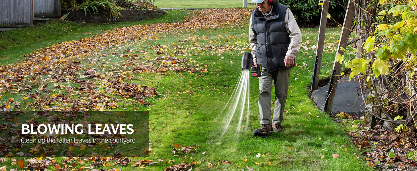 blowers for lawn care