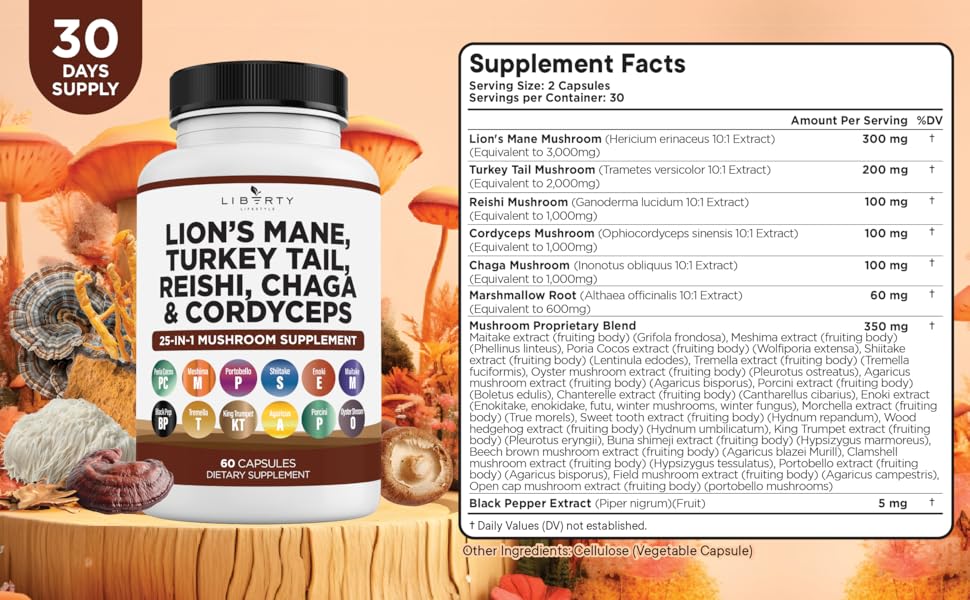 mushroom supplement 