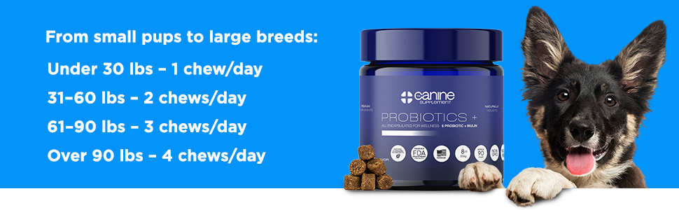 Probiotic 5