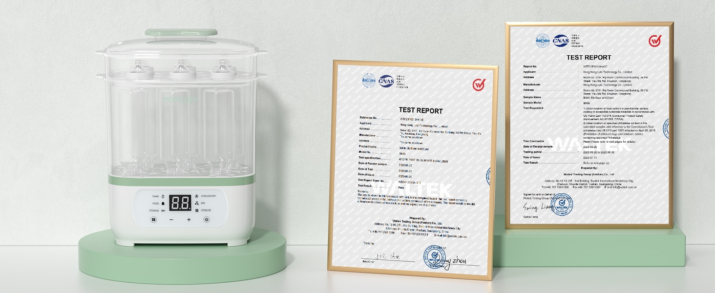 Sammlung von Papierdokumenten und Urkunden, die auf einer hellgrünen Oberfläche angeordnet sind und verschiedene Formulare und offizielle Unterlagen zeigen.