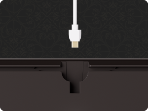 Detachable USB