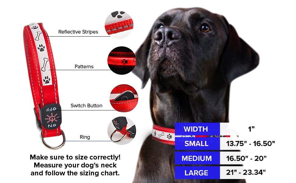 Light Up Dog Collars for Large Dogs, Glowing Dog Collars