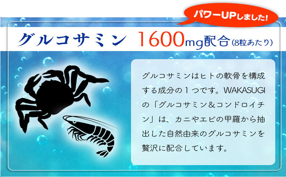 Amazon | グルコサミン&コンドロイチン プロテオグリカン配合 大
