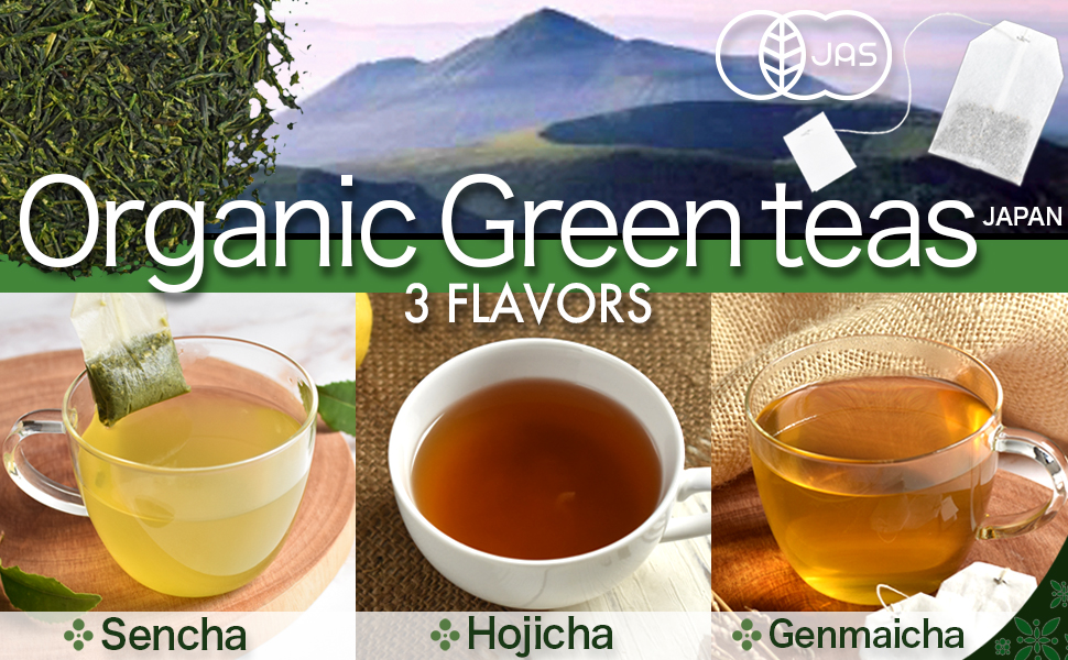 Japanese Organic Hojicha green tea bags, Roasted green Tea