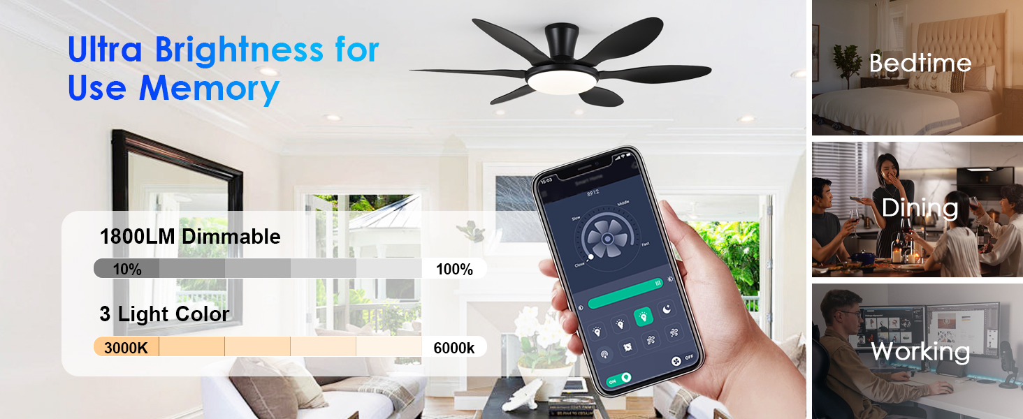 led ceiling fan memory