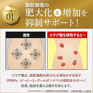 Amazon | 【公式】倖田來未 完全プロデュース キラーバーナー 2