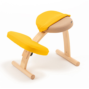 Amazon.co.jp: バランスラボ バランスイージー専用プレミアム