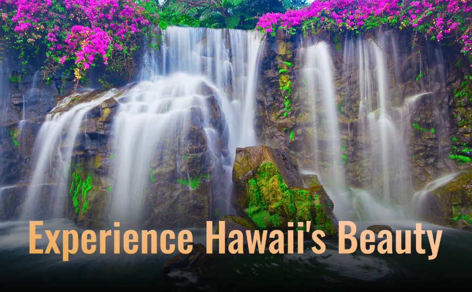 洋書◆大自然の写真集 本 景色 自然 海 葉 花 岩 Paddling in Hawai'i (Hawaii): A Photo Essay by JOSS: Ian