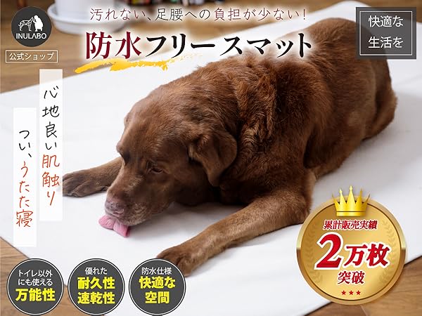 4セット イヌラボ 大判 床保護マット 165×122cm 2枚セットx4 Amazon.co.jp: INULABO(イヌラボ) 大判 床保護マット (165×122cm