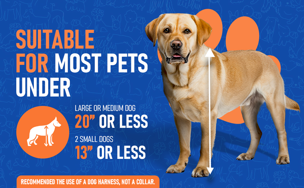 Dog car seat - Dog measurements