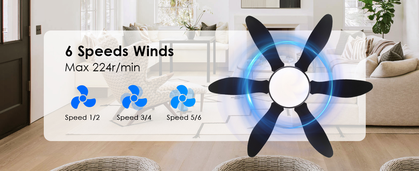 ceiling fan black