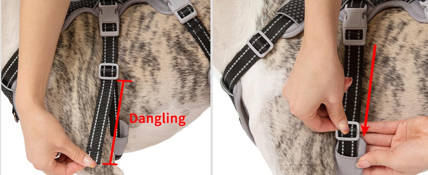 escape proof harness for dog