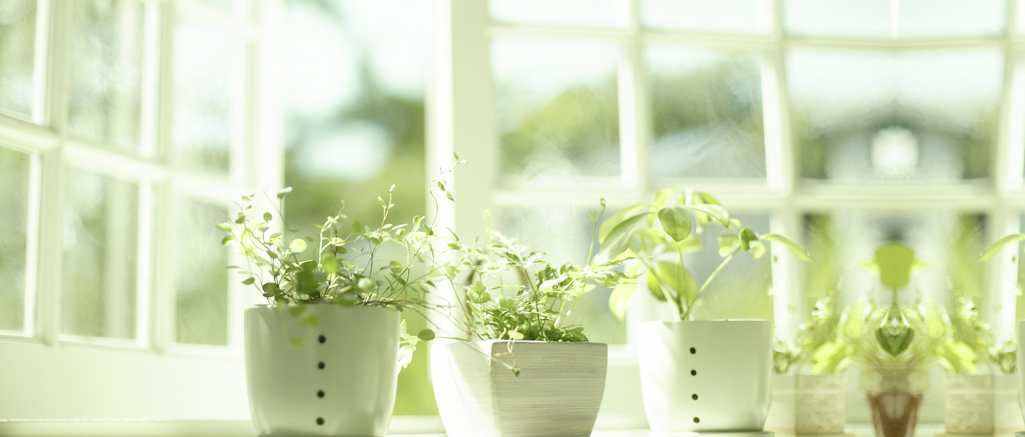 Planter