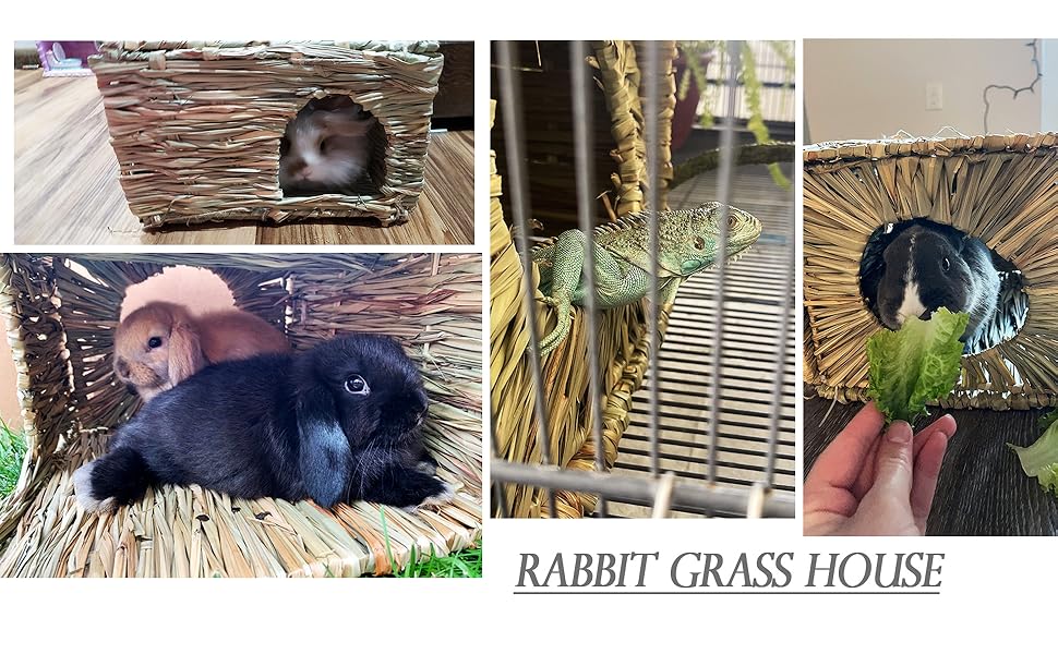 Rabbit Grass House