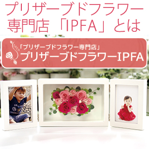 Amazon|プリザーブドフラワー IPFA フォトフレーム プレミアム Amazon|プリザーブドフラワー IPFA フォトフレーム プレミアム