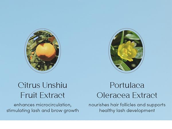 Nuna Serum Premium A+3