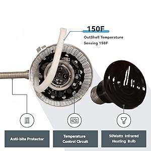 Light bulb introduction