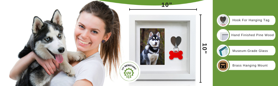 green pollywog dog tag frame hanging shadowbox memory gift for mom furry family member puppy vet