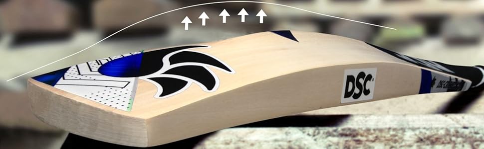men cricket bat