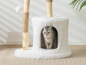 cat tree