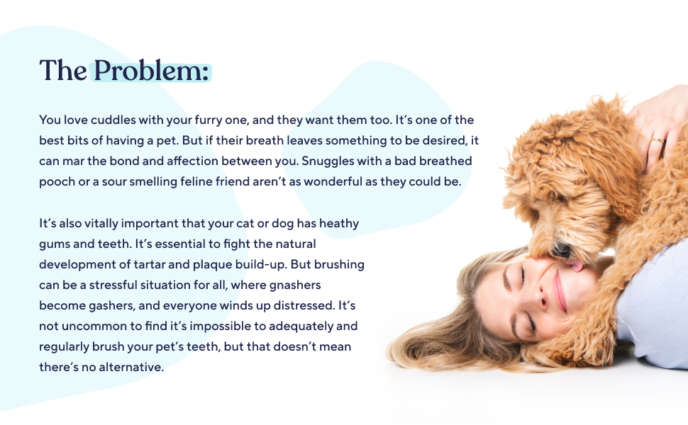 The problem - Solve your dogs dental problems with Pawfy dental wash