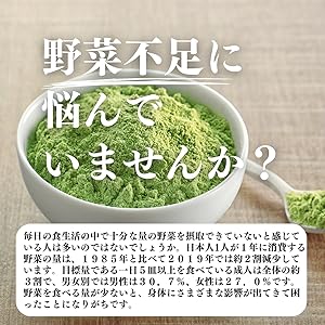 完売　天然＊野生【スーパーフード＊明日葉の種/100粒➕おまけ】完全無農薬 pippi_ks021-01