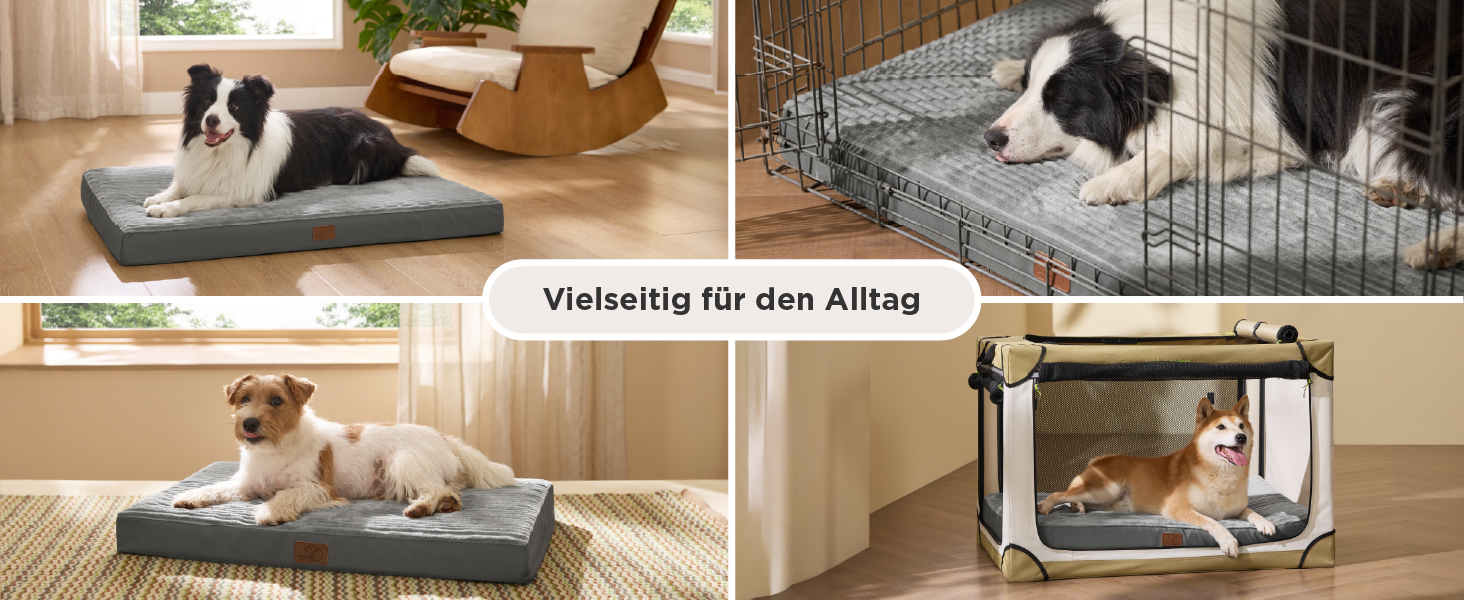 Aplus-Inhaltsbild