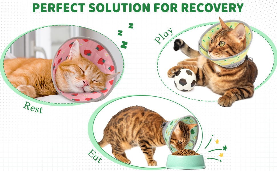 Pawfun Cat Cone Collar Soft, Comfortable Cat Recovery Collar Pet Cone for Small