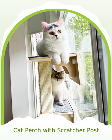 Cat Perch with Scratcher Post