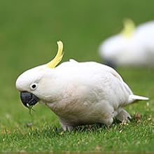 Small manufacture image 9