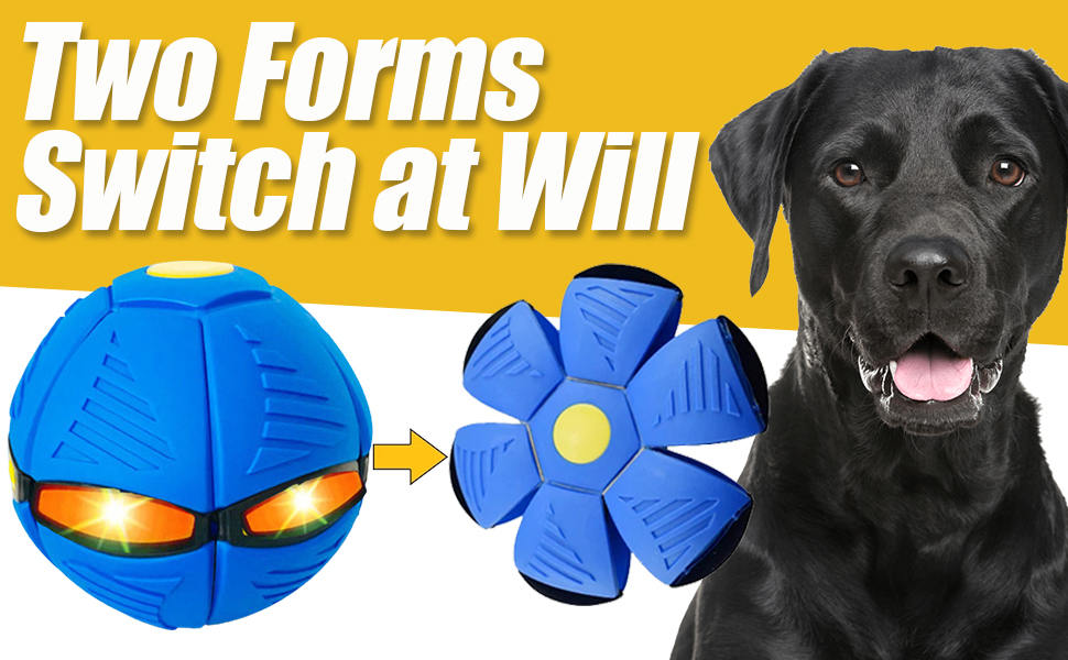 Pet Supplies 2023 New Pet Toy Flying Saucer Ball,Flying Saucer Ball