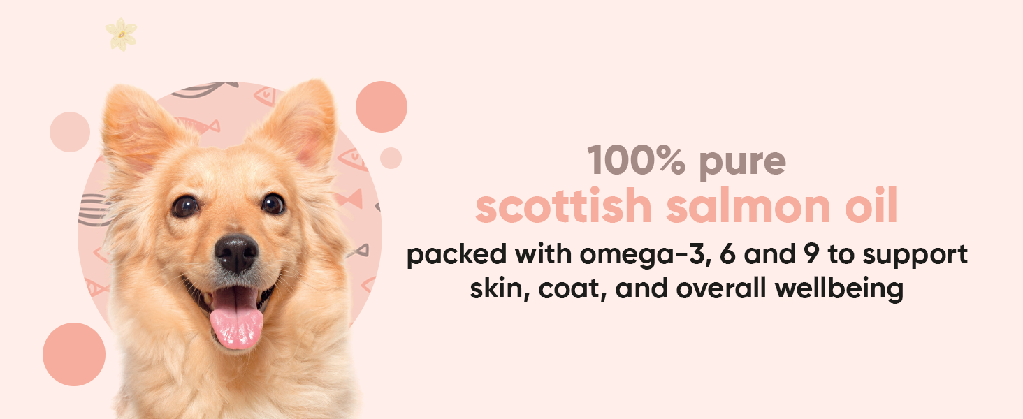 Salmon Oil