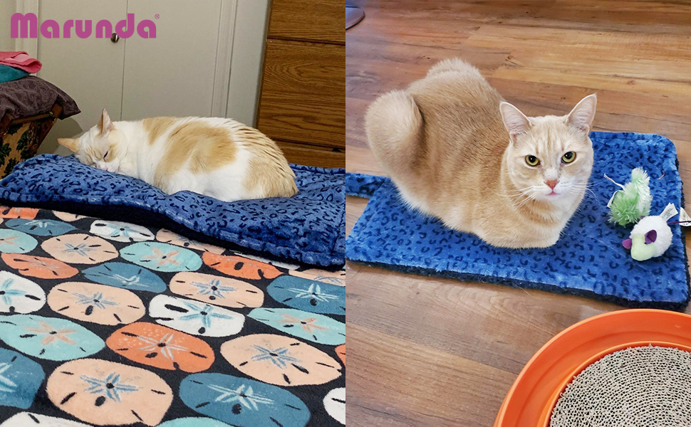 thermal cat mat