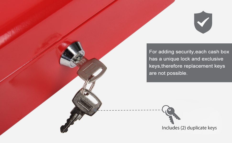 Polspag Cash Box with Lock and 2 Keys, Metal Money Box with