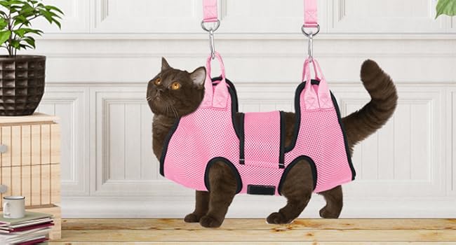 Large manufacture image 5