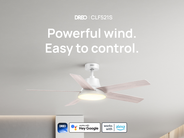 Smart Ceiling Fan