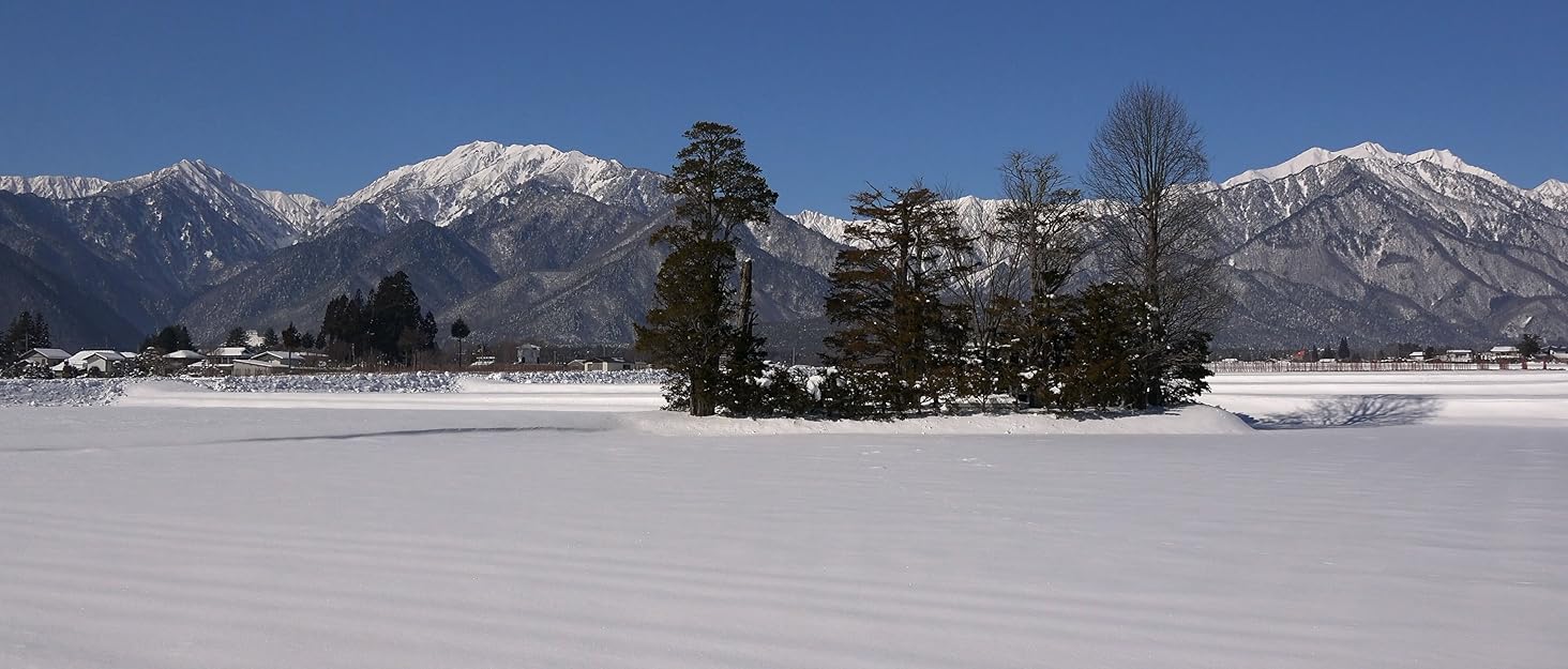 My Orders Hoodies for Men Casual Solid Color Zipper hooded Slim Fit