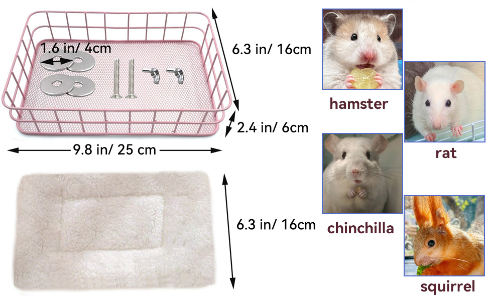 chinchilla Platform 