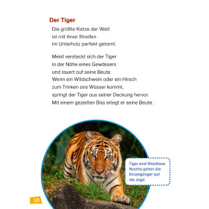 WAS IST WAS Erstes Lesen Band 17. Raubkatzen